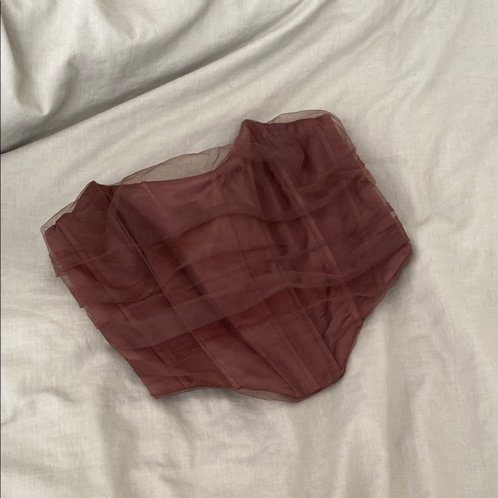 Zara Brown Strapless Tulle top NWT